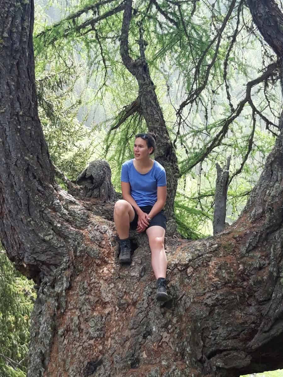 Femme assise sur une branche d'arbre dans une forêt verdoyante.